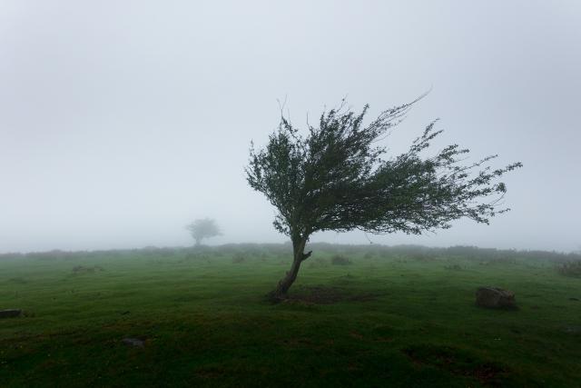 Wind warning issued for Wednesday 22 October