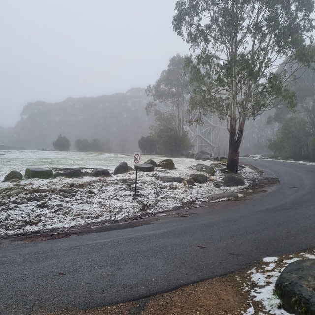 Light drizzle of snow on Mount Donna Buang