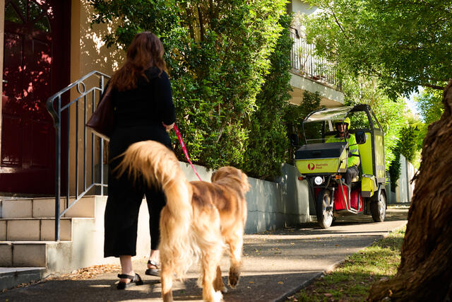 Posties bite back against dog-related attacks ahead of busy season
