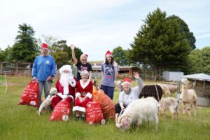 Santa turns cans into cash for animal rescue