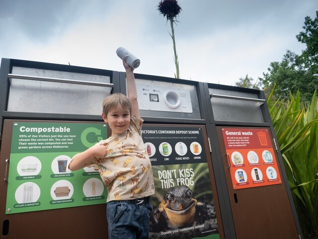 Recycle drink containers to save frogs in the Yarra Ranges