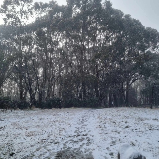 Snow to hit Donna Buang next week