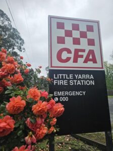 The blooming rose offering tribute to Black Saturday victims