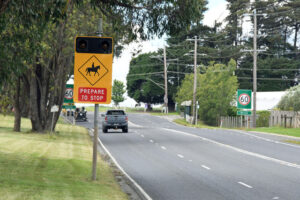 Dangerous horse crossing finally fixed in Wandin North