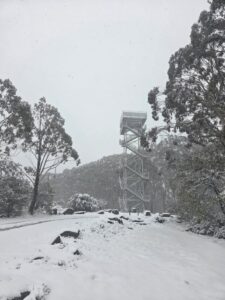 Sprinkling of spring snow at Mount Donna Buang