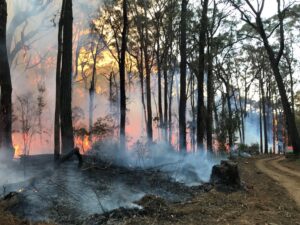 Three Bridges – Hacketts Creek planned burn now complete