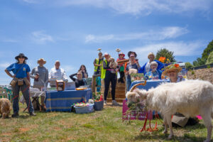 It takes a village to save an animal