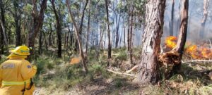 Three Bridges – Hacketts Creek planned burn to start soon