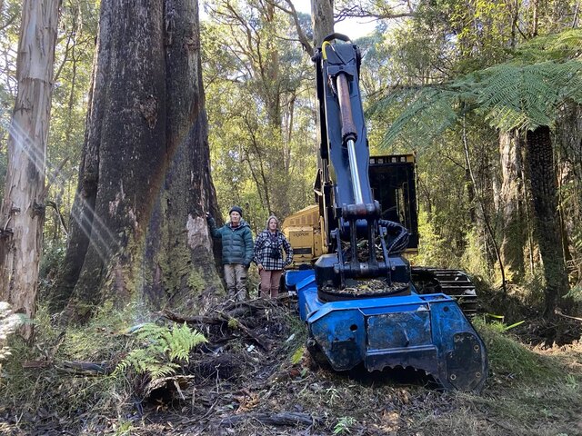 Streamline or avoid scrutiny: fire management strategic assessment underway