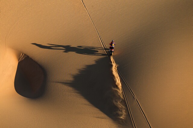 Sanders back on top after stage eight